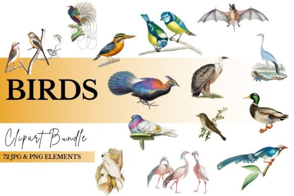 Unlock Your Creative Potential with a Premium Bird Clipart Bundle and Owl Clip Art